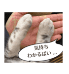 長崎弁だいたいよかっちゃない（個別スタンプ：15）