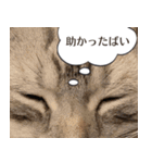 長崎弁だいたいよかっちゃない（個別スタンプ：18）