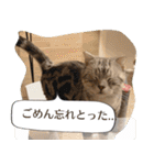 長崎弁だいたいよかっちゃない（個別スタンプ：19）