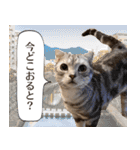 長崎弁だいたいよかっちゃない（個別スタンプ：20）