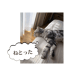 長崎弁だいたいよかっちゃない（個別スタンプ：21）