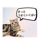 長崎弁だいたいよかっちゃない（個別スタンプ：22）