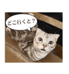 長崎弁だいたいよかっちゃない（個別スタンプ：24）