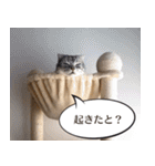 長崎弁だいたいよかっちゃない（個別スタンプ：25）