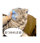 長崎弁だいたいよかっちゃない（個別スタンプ：26）