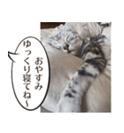 長崎弁だいたいよかっちゃない（個別スタンプ：27）