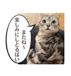長崎弁だいたいよかっちゃない（個別スタンプ：28）