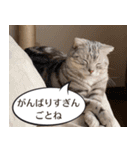 長崎弁だいたいよかっちゃない（個別スタンプ：29）