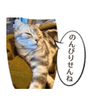 長崎弁だいたいよかっちゃない（個別スタンプ：30）