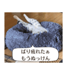 長崎弁だいたいよかっちゃない（個別スタンプ：32）