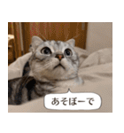 長崎弁だいたいよかっちゃない（個別スタンプ：34）
