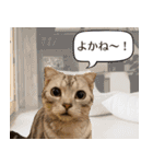 長崎弁だいたいよかっちゃない（個別スタンプ：35）