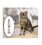 長崎弁だいたいよかっちゃない（個別スタンプ：38）