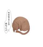 猫の手を借りるスタンプ（個別スタンプ：7）