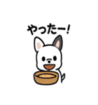 真っ白ボストンテリアの日常（個別スタンプ：3）