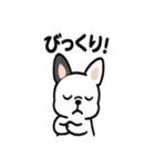 真っ白ボストンテリアの日常（個別スタンプ：4）