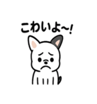 真っ白ボストンテリアの日常（個別スタンプ：5）