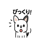 真っ白ボストンテリアの日常（個別スタンプ：6）