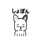 真っ白ボストンテリアの日常（個別スタンプ：7）