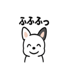真っ白ボストンテリアの日常（個別スタンプ：8）
