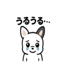 真っ白ボストンテリアの日常（個別スタンプ：9）