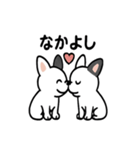 真っ白ボストンテリアの日常（個別スタンプ：13）