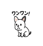 真っ白ボストンテリアの日常（個別スタンプ：14）