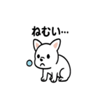 真っ白ボストンテリアの日常（個別スタンプ：15）