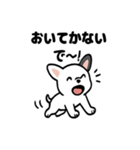 真っ白ボストンテリアの日常（個別スタンプ：16）