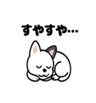真っ白ボストンテリアの日常（個別スタンプ：18）