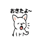 真っ白ボストンテリアの日常（個別スタンプ：19）