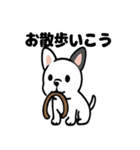 真っ白ボストンテリアの日常（個別スタンプ：20）