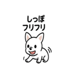 真っ白ボストンテリアの日常（個別スタンプ：21）