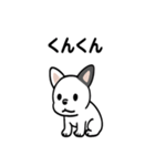 真っ白ボストンテリアの日常（個別スタンプ：22）