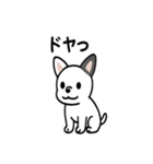 真っ白ボストンテリアの日常（個別スタンプ：24）