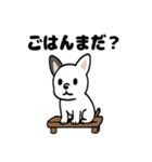 真っ白ボストンテリアの日常（個別スタンプ：26）