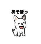 真っ白ボストンテリアの日常（個別スタンプ：28）