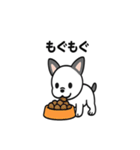 真っ白ボストンテリアの日常（個別スタンプ：30）