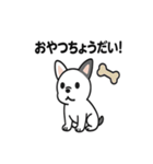 真っ白ボストンテリアの日常（個別スタンプ：31）