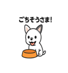 真っ白ボストンテリアの日常（個別スタンプ：32）
