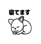 真っ白ボストンテリアの日常（個別スタンプ：33）