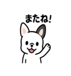 真っ白ボストンテリアの日常（個別スタンプ：34）