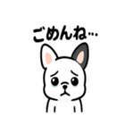 真っ白ボストンテリアの日常（個別スタンプ：36）