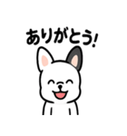 真っ白ボストンテリアの日常（個別スタンプ：37）