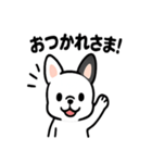 真っ白ボストンテリアの日常（個別スタンプ：38）