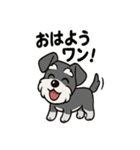 シュナウザーのきもち2（個別スタンプ：1）