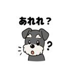 シュナウザーのきもち2（個別スタンプ：3）