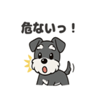 シュナウザーのきもち2（個別スタンプ：4）