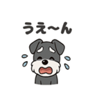 シュナウザーのきもち2（個別スタンプ：6）