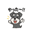 シュナウザーのきもち2（個別スタンプ：8）